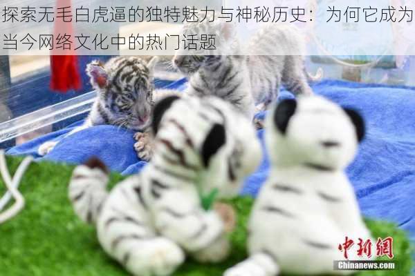 探索无毛白虎逼的独特魅力与神秘历史：为何它成为当今网络文化中的热门话题