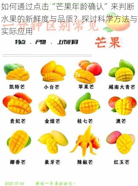 如何通过点击“芒果年龄确认”来判断水果的新鲜度与品质？探讨科学方法与实际应用