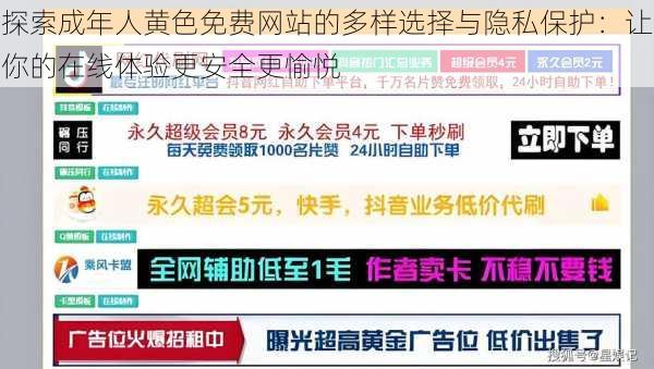 探索成年人黄色免费网站的多样选择与隐私保护：让你的在线体验更安全更愉悦