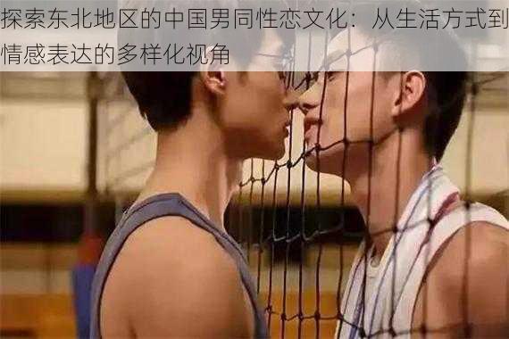 探索东北地区的中国男同性恋文化：从生活方式到情感表达的多样化视角