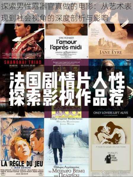 探索男性露器官真做的电影:从艺术表现到社会视角的深度剖析与影响