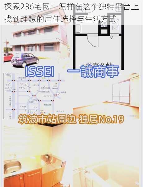 探索236宅网：怎样在这个独特平台上找到理想的居住选择与生活方式