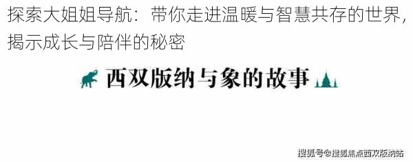 探索大姐姐导航：带你走进温暖与智慧共存的世界，揭示成长与陪伴的秘密