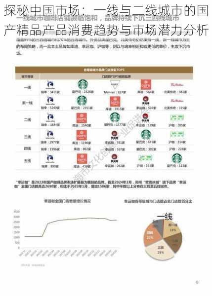 探秘中国市场：一线与二线城市的国产精品产品消费趋势与市场潜力分析