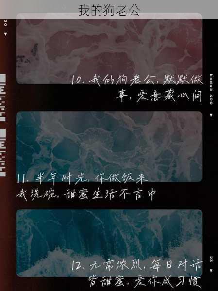 我的狗老公