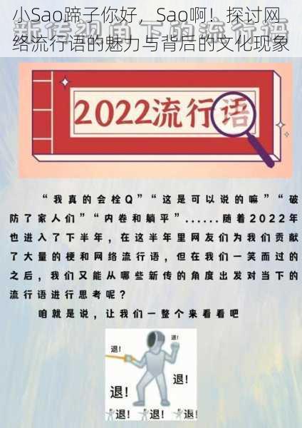 小Sao蹄子你好,Sao啊!探讨网络流行语的魅力与背后的文化现象