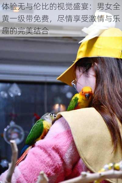 体验无与伦比的视觉盛宴:男女全黄一级带免费,尽情享受激情与乐趣的完美结合
