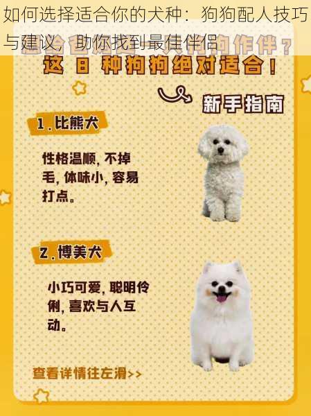 如何选择适合你的犬种：狗狗配人技巧与建议，助你找到最佳伴侣