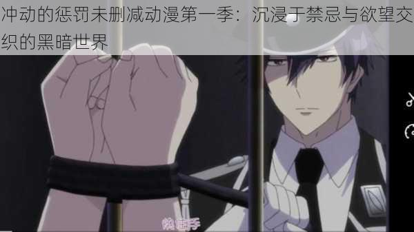 冲动的惩罚未删减动漫第一季:沉浸于禁忌与欲望交织的黑暗世界