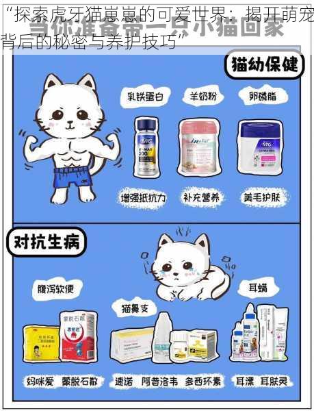 “探索虎牙猫崽崽的可爱世界：揭开萌宠背后的秘密与养护技巧”