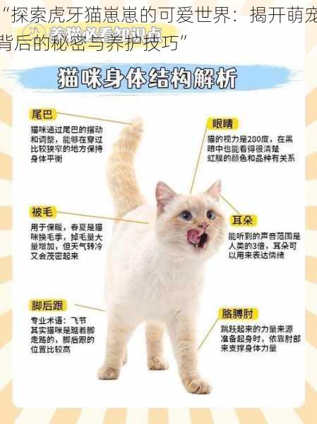 “探索虎牙猫崽崽的可爱世界：揭开萌宠背后的秘密与养护技巧”