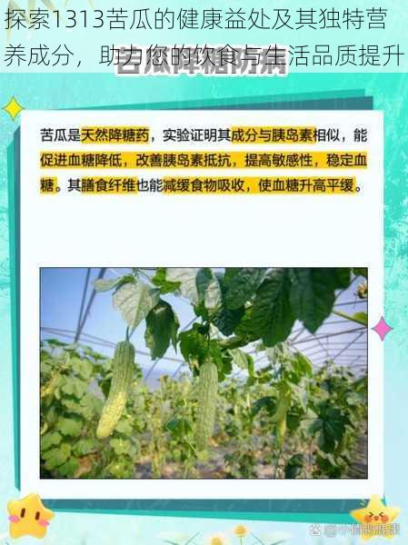 探索1313苦瓜的健康益处及其独特营养成分，助力您的饮食与生活品质提升