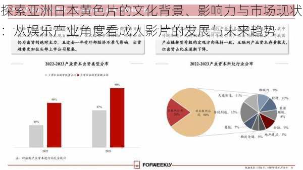 探索亚洲日本黄色片的文化背景、影响力与市场现状:从娱乐产业角度看成人影片的发展与未来趋势