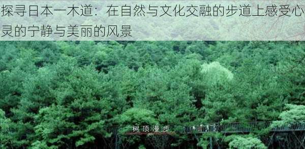 探寻日本一木道:在自然与文化交融的步道上感受心灵的宁静与美丽的风景