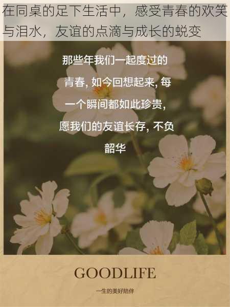在同桌的足下生活中,感受青春的欢笑与泪水,友谊的点滴与成长的蜕变