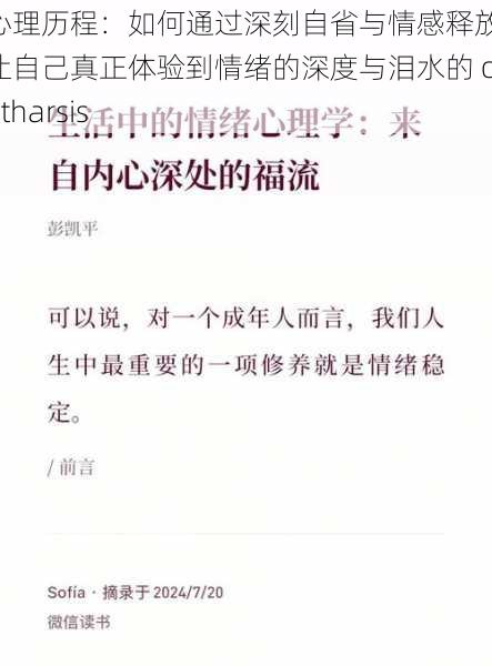 心理历程:如何通过深刻自省与情感释放,让自己真正体验到情绪的深度与泪水的 catharsis