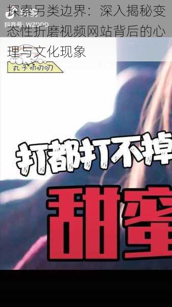 探索另类边界:深入揭秘变态性折磨视频网站背后的心理与文化现象
