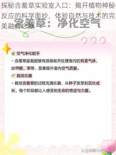 探秘含羞草实验室入口:揭开植物神秘反应的科学面纱,体验自然与技术的完美融合之旅