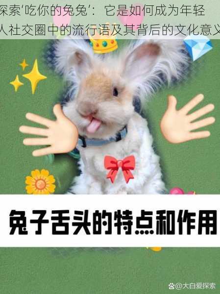 探索‘吃你的兔兔’：它是如何成为年轻人社交圈中的流行语及其背后的文化意义