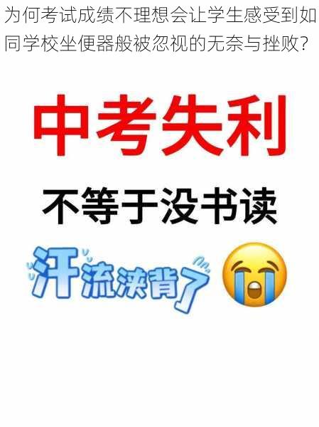 为何考试成绩不理想会让学生感受到如同学校坐便器般被忽视的无奈与挫败?