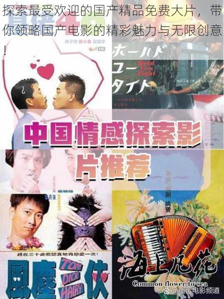 探索最受欢迎的国产精品免费大片,带你领略国产电影的精彩魅力与无限创意!