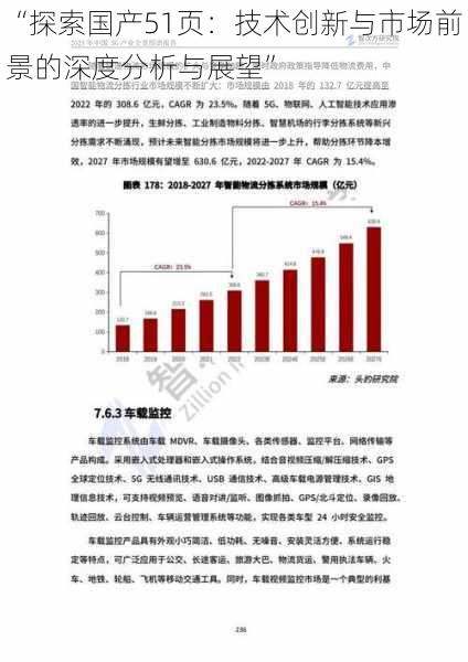 “探索国产51页:技术创新与市场前景的深度分析与展望”