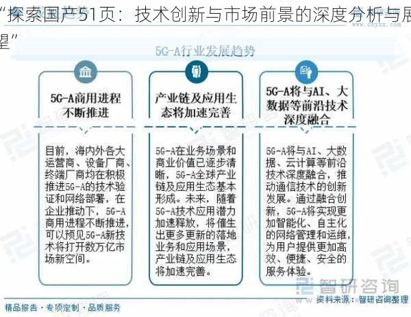 “探索国产51页：技术创新与市场前景的深度分析与展望”