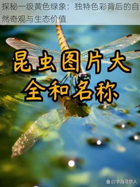 探秘一级黄色绿象:独特色彩背后的自然奇观与生态价值