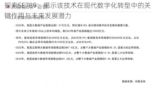 探索SE789:揭示该技术在现代数字化转型中的关键作用与未来发展潜力