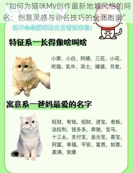 “如何为猫咪MV创作最新地域风格的网名:创意灵感与命名技巧的全面指南”