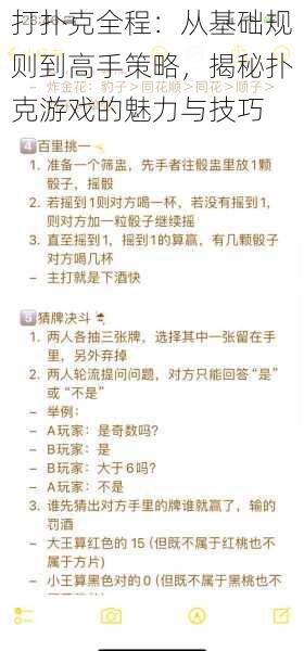 打扑克全程:从基础规则到高手策略,揭秘扑克游戏的魅力与技巧